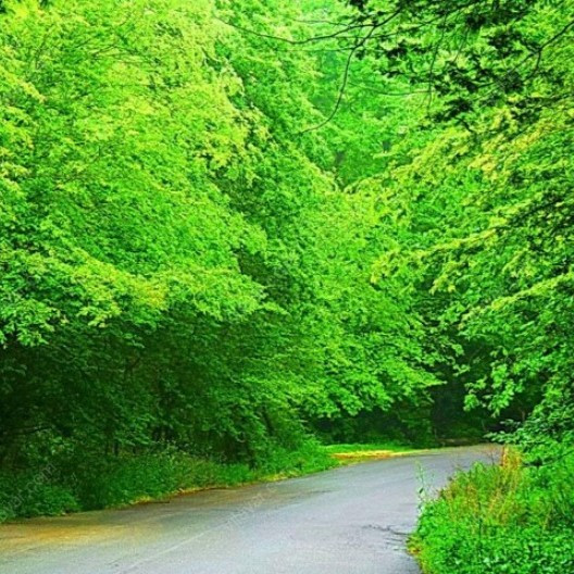 تاکسی دربستی مبدا تهران به مقصد سیسنگان ( مازندران )