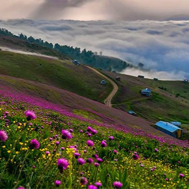 تاکسی دربستی مبدا تهران به مقصد رودبار ( گیلان )